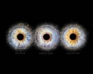 Xavier MARTINO - STUDIO MARTINO