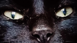 Ingrid VIDAL - INSTANTS ENCHANTES